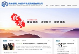 南岸城市开发投资集团有限公司