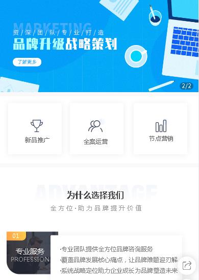 南岸咨询策划小程序开发