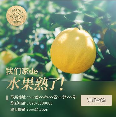 南岸果园果林小程序开发